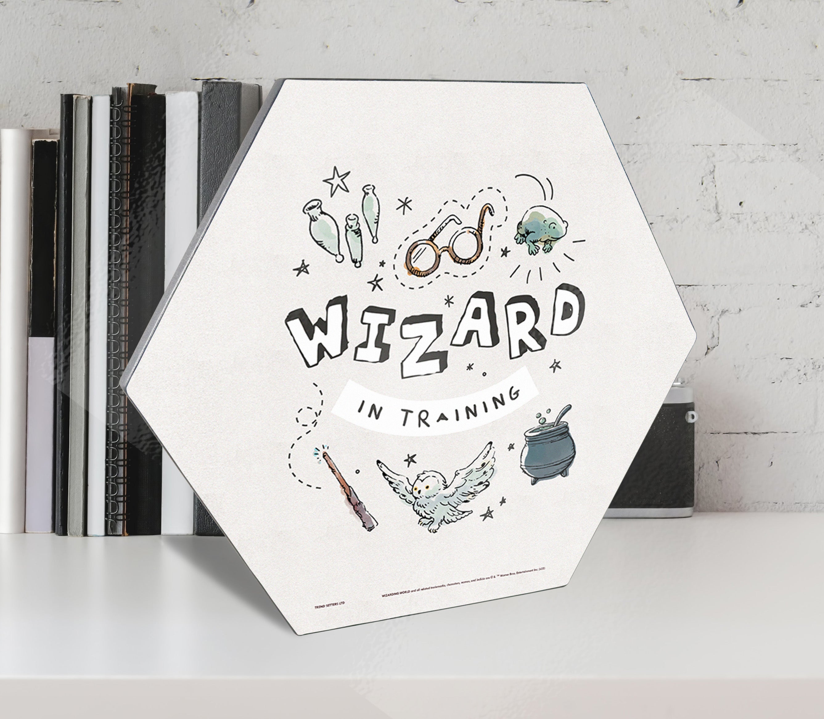 Harry Potter (Charming Vintage Wizard in Training) KNEXAGON® Wood Print WPHEX4250CHVN